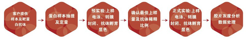 圖片10-Western Blot檢測(cè).png